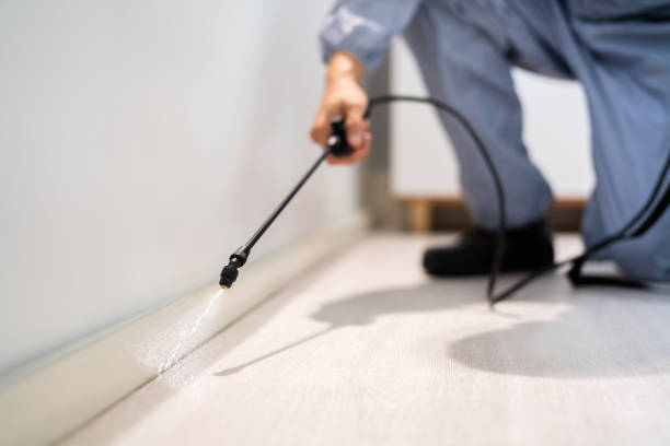 Bed Bug Pre-Treatment Preparation Assessment in Placitas